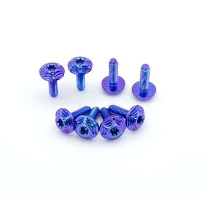 Sekrup Paduan Titanium Sepeda Motor Tc4 Gradien Biru Ungu Standar ANSI ASME