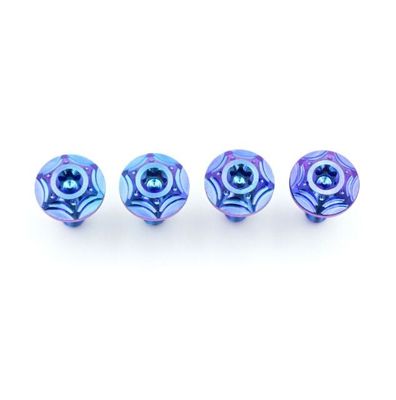 Sekrup Paduan Titanium Sepeda Motor Tc4 Gradien Biru Ungu Standar ANSI ASME